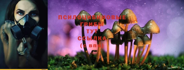 спиды Майский