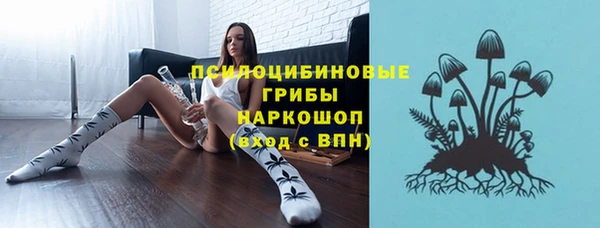 спиды Майский