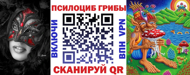 Псилоцибиновые грибы Psilocybine cubensis  закладка  Сольцы 