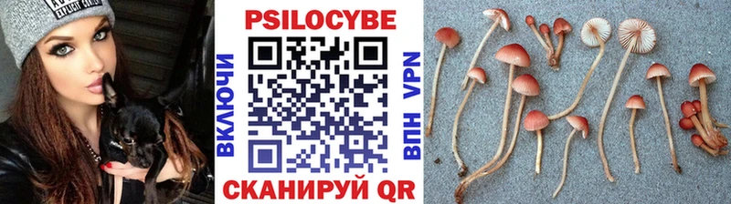Галлюциногенные грибы мухоморы Сольцы